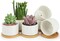 6-Pack 3.6 Inch Ceramic Succulent Pots with Drainage Holes & Bamboo Tray – Small White Planters for Indoor Plants, Home, Office, Desk, Windowsill & Table Decor